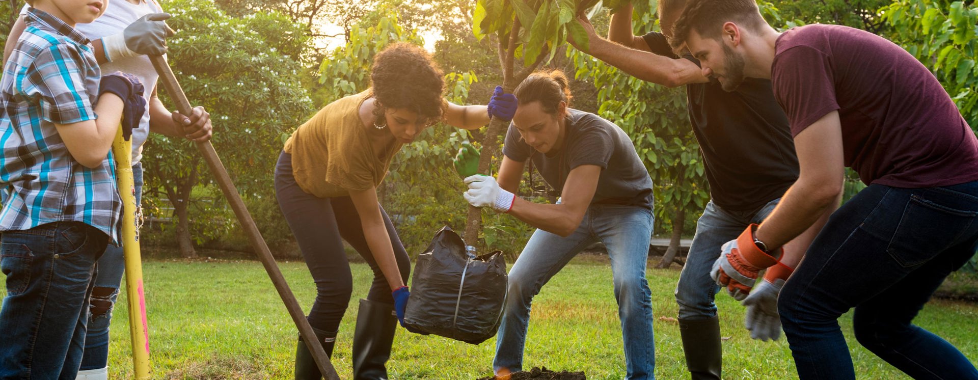 peopleGardening.jpg