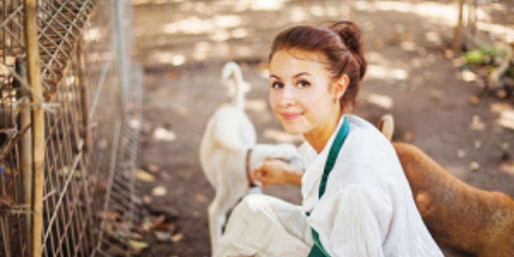 Social Service Insurance: Insuring Animal Shelters